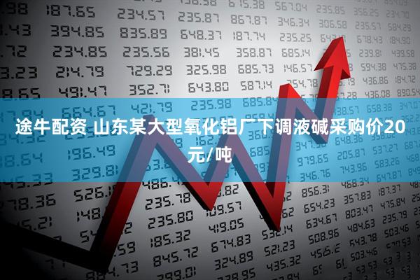途牛配资 山东某大型氧化铝厂下调液碱采购价20元/吨